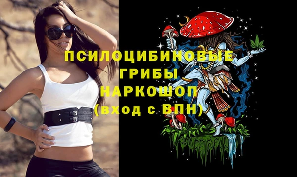 индика Абинск